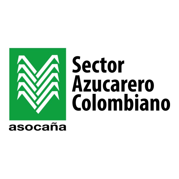 Cliente 7